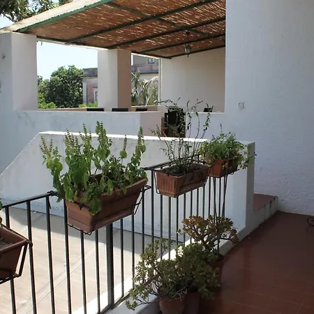 Casa Diana Arianna *