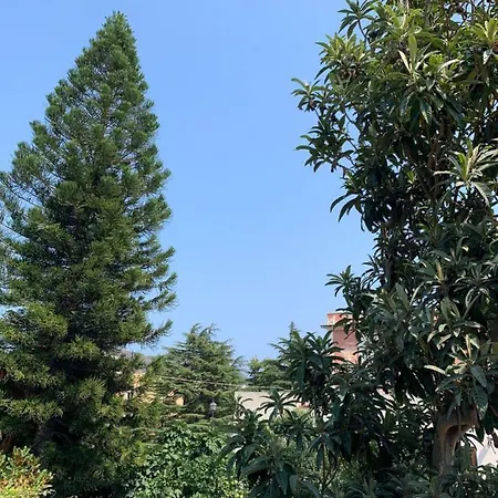 Casa Diana Arianna 公寓