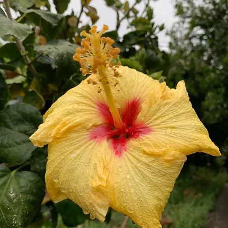 Casa Diana Arianna *