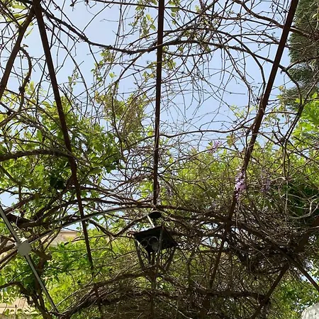 公寓 Casa Diana Arianna 利帕里