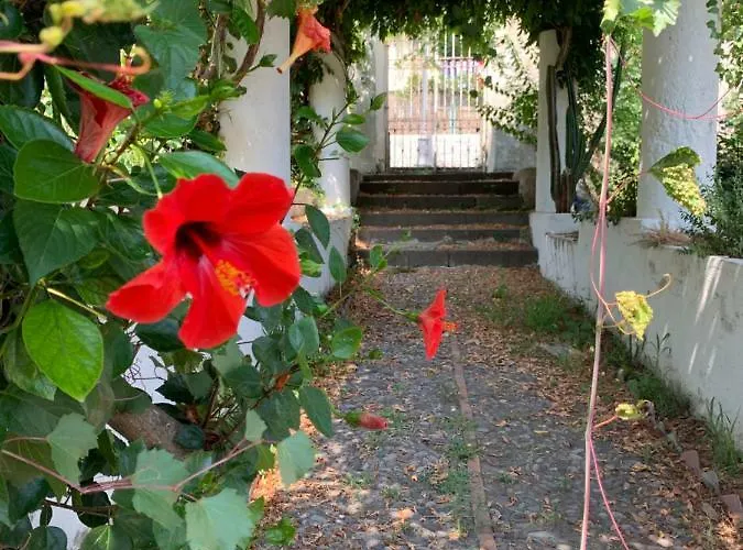 Casa Diana Arianna Apartamento Lípara