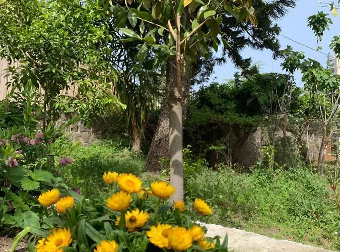 Apartamento Casa Diana Arianna *