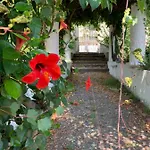 Casa Diana Arianna Lägenhet Lipari (Isola Lipari)