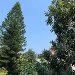 Casa Diana Arianna Lägenhet