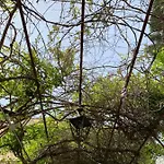 Lägenhet Casa Diana Arianna Lipari (Isola Lipari)