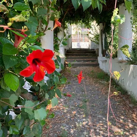 Casa Diana Arianna Lägenhet Lipari (Isola Lipari)