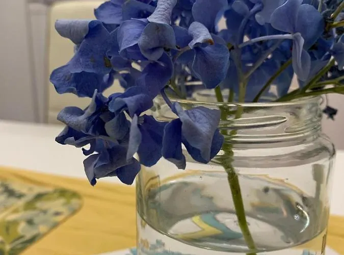 Casa Diana Arianna Lipari (Isola Lipari)