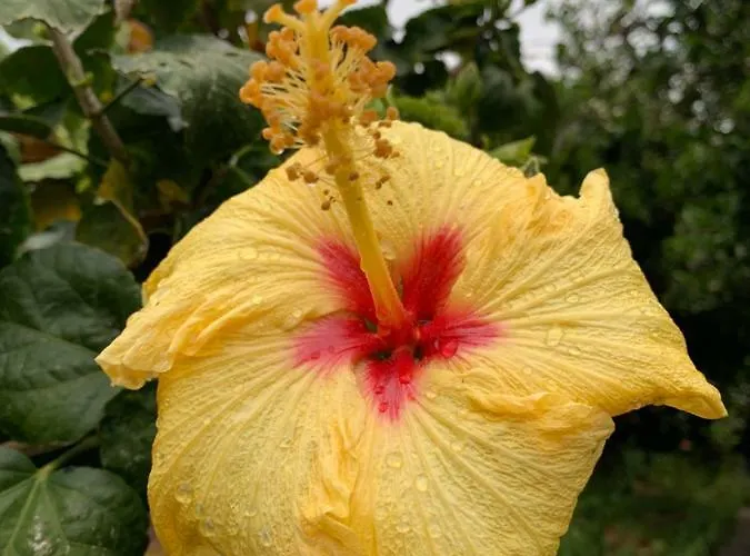 Casa Diana Arianna *