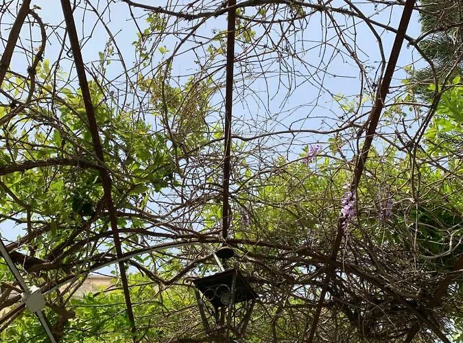 Apartamento Casa Diana Arianna Lipari (Isola Lipari)